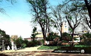 Mostaganem - Jardin Public   